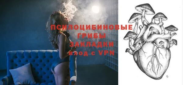 шишки Нефтегорск