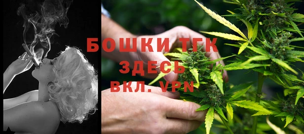 прущий лед Нея