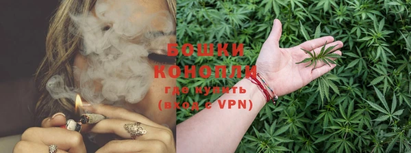 дживик Нефтекумск