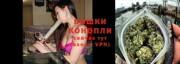 прущий лед Нея