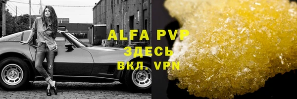 дживик Нефтекумск