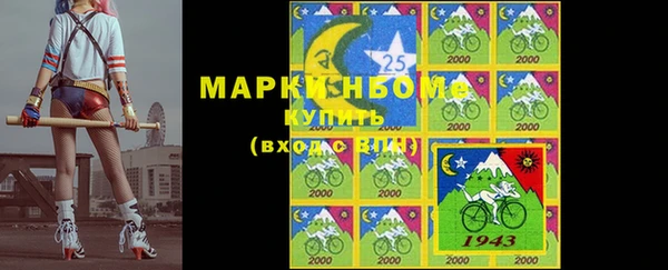 прущий лед Нея