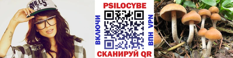 Псилоцибиновые грибы мицелий  купить   Юрьев-Польский 